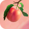 Pêche